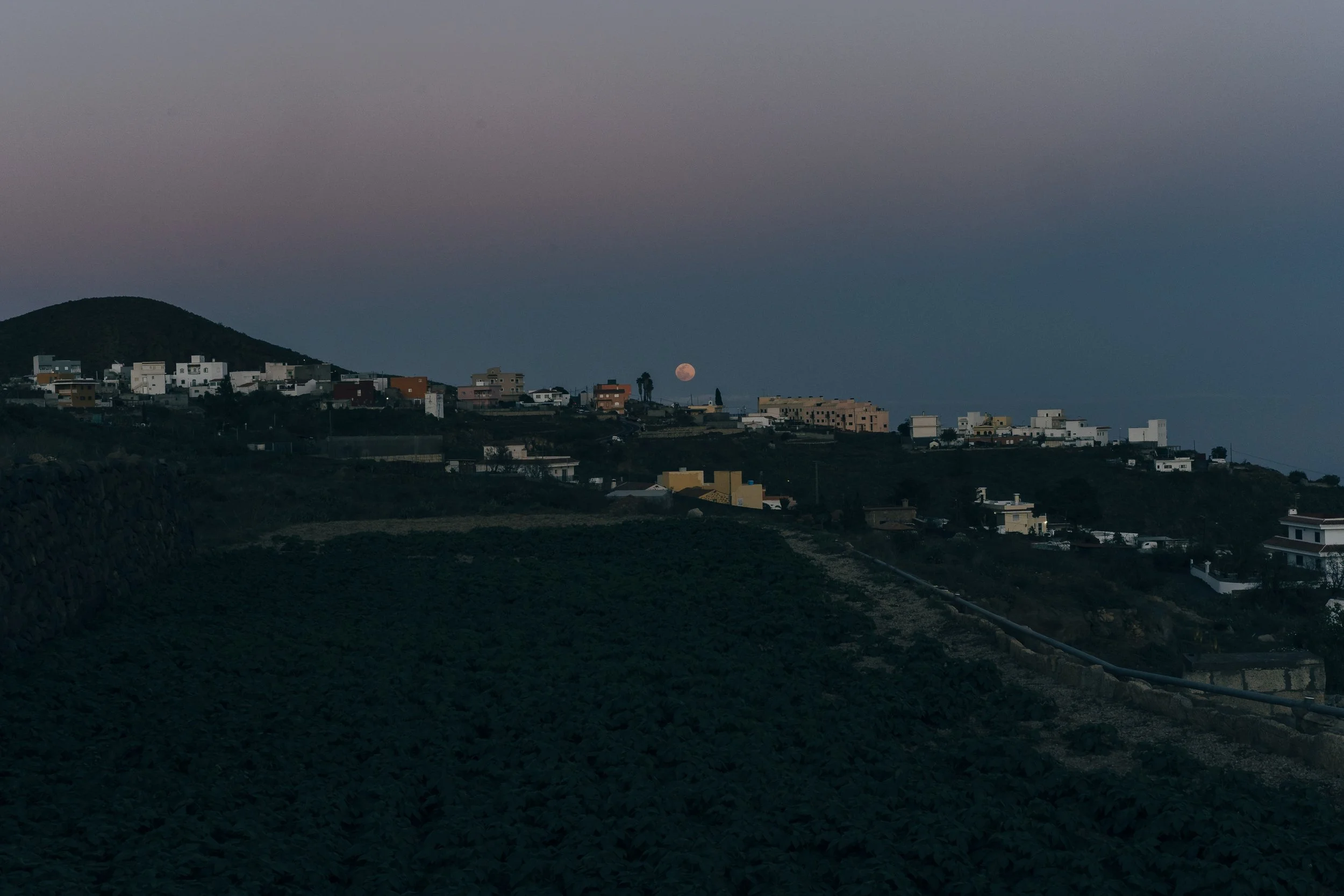 Melber_220216_Teneriffa_DSC9425_HighRes.jpg
