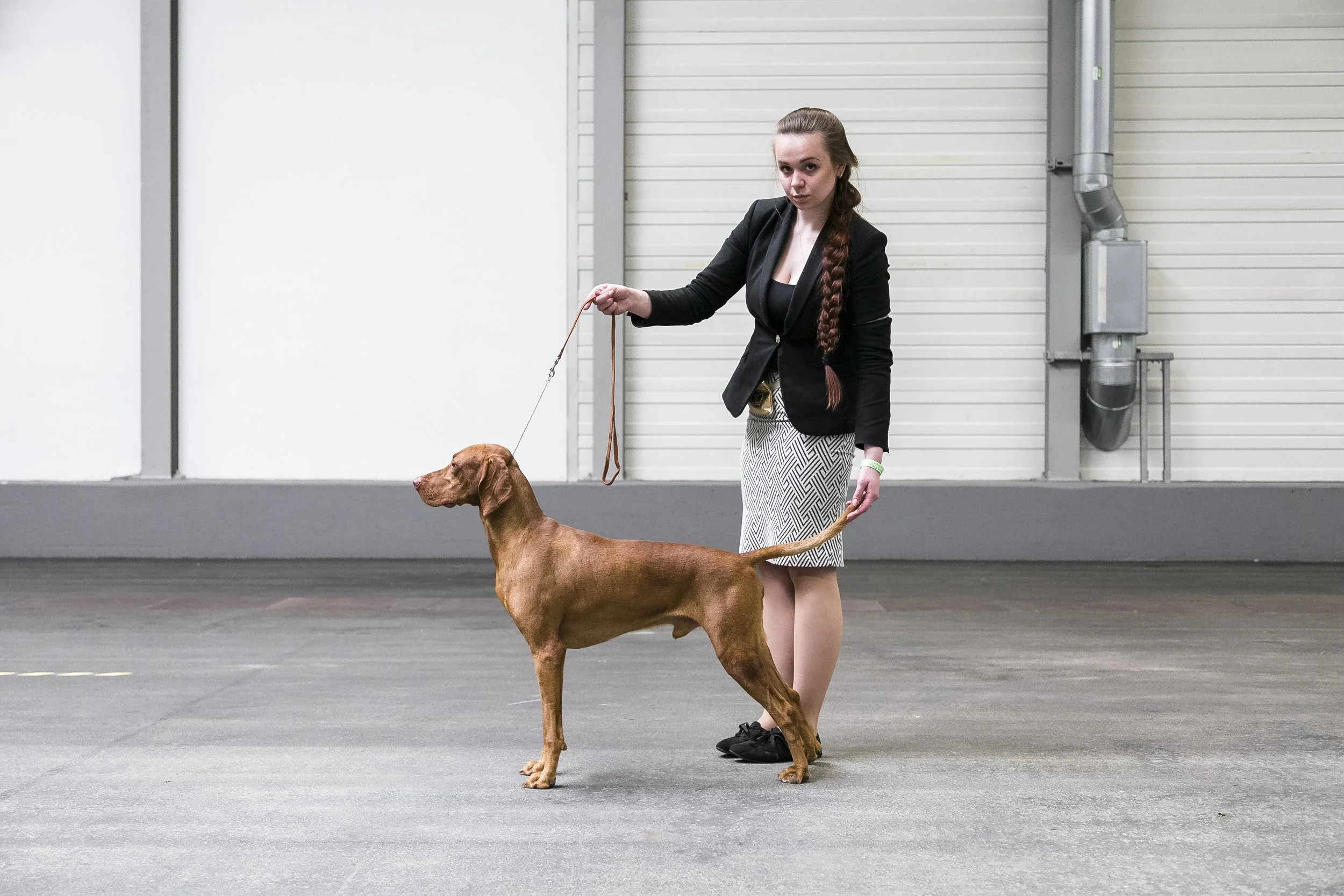 Melber_170506_Hundeausstellung-002.jpg