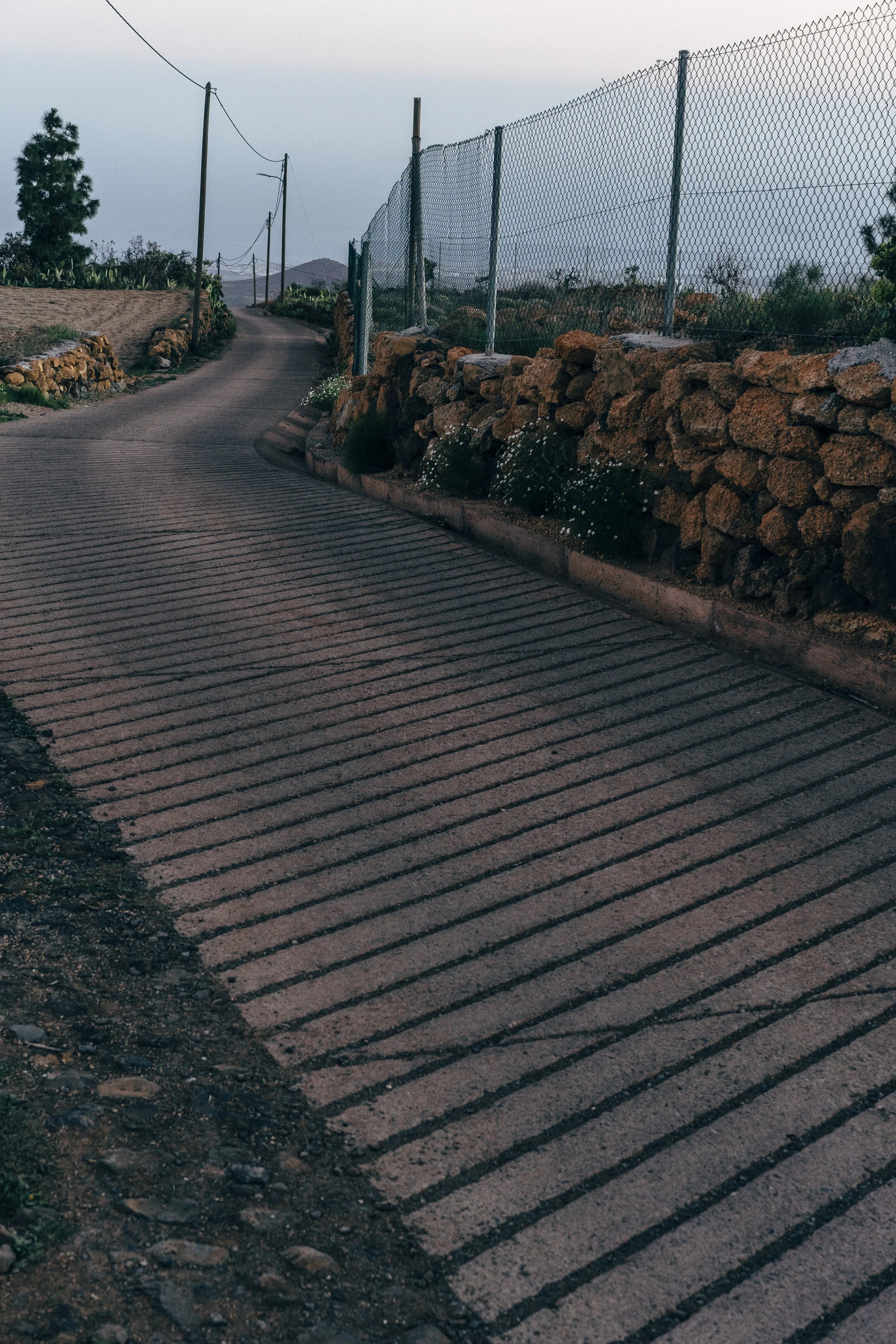 Melber_220216_Teneriffa_DSC9414_HighRes.jpg
