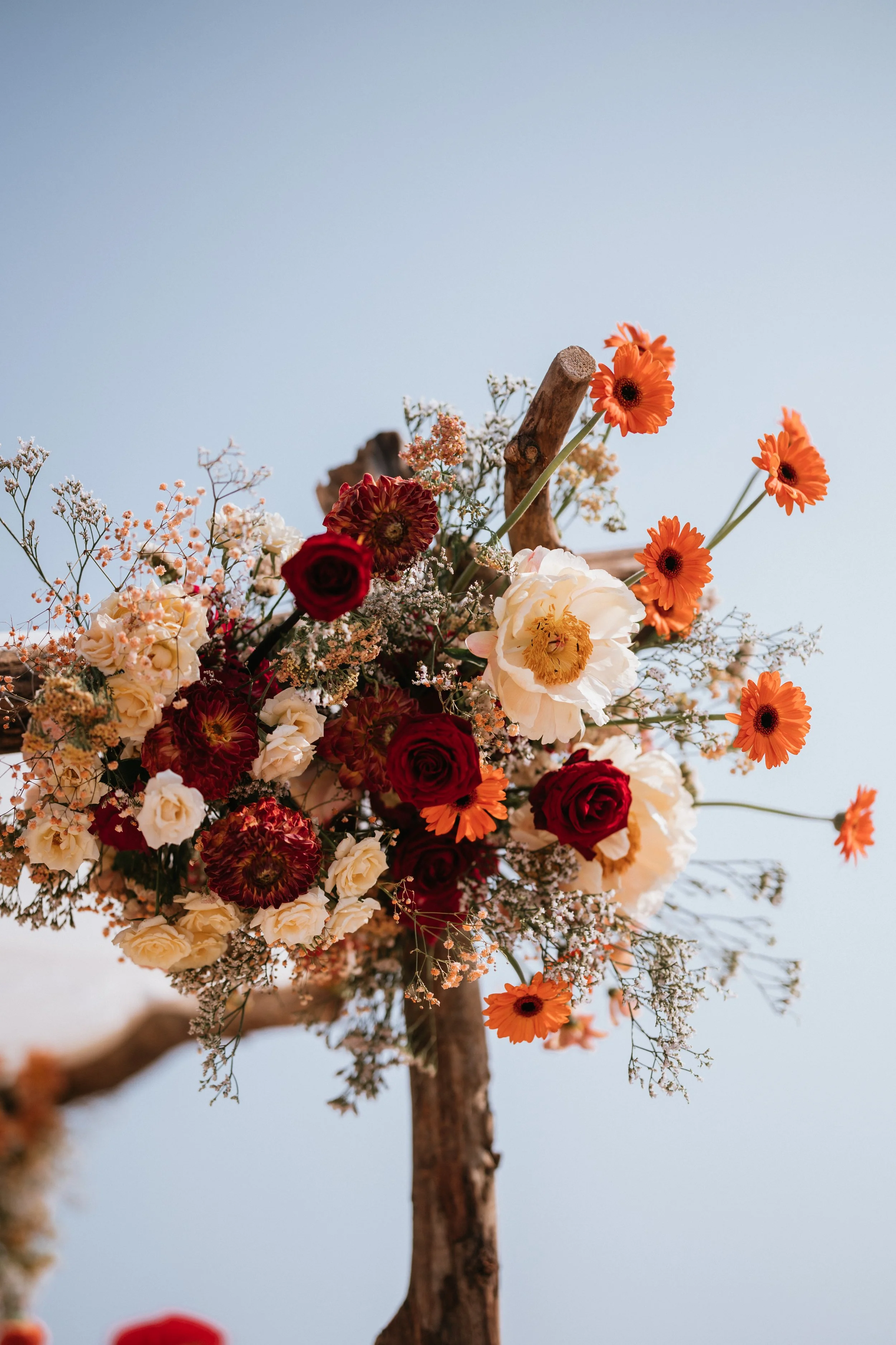 MariageHouppaAnaisetJonathan-00053-6C0A5147.jpg