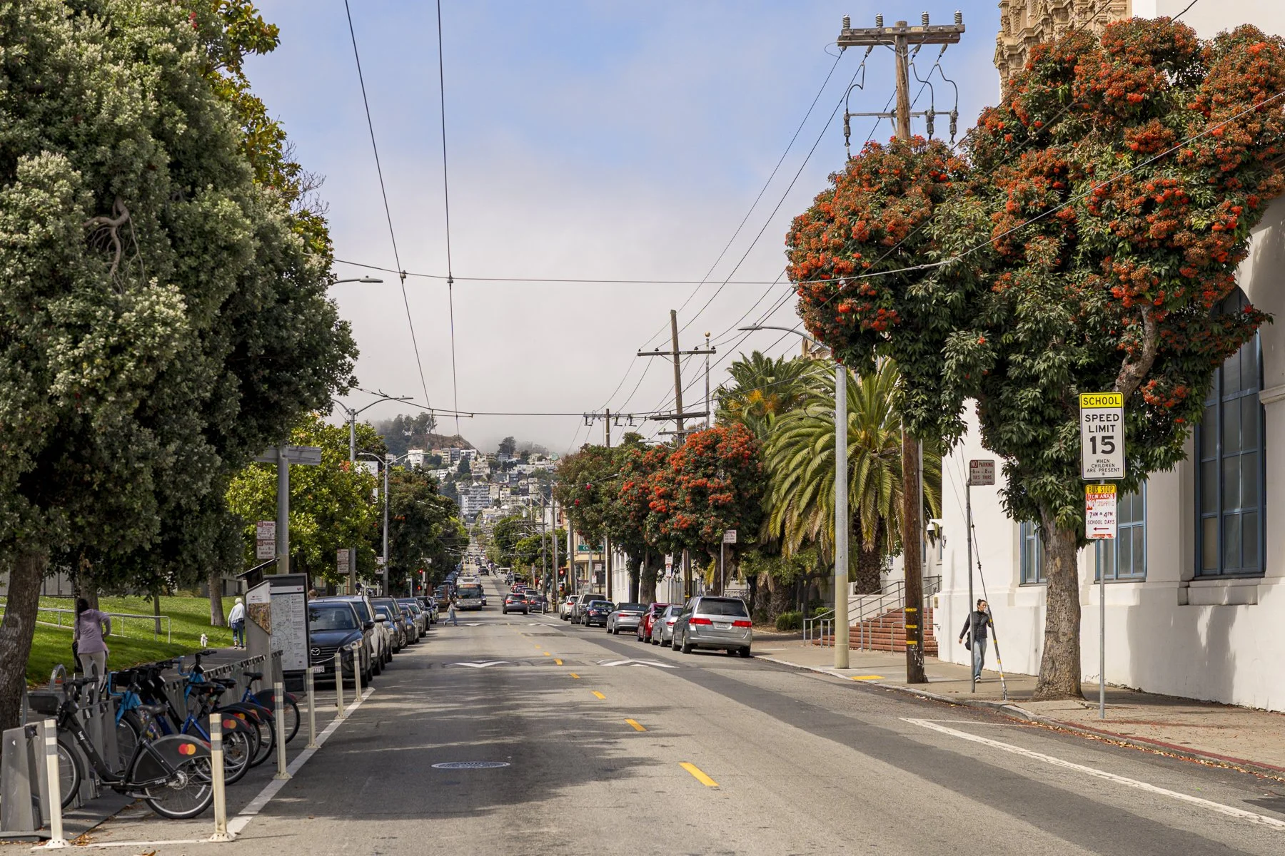 SF-9.jpg