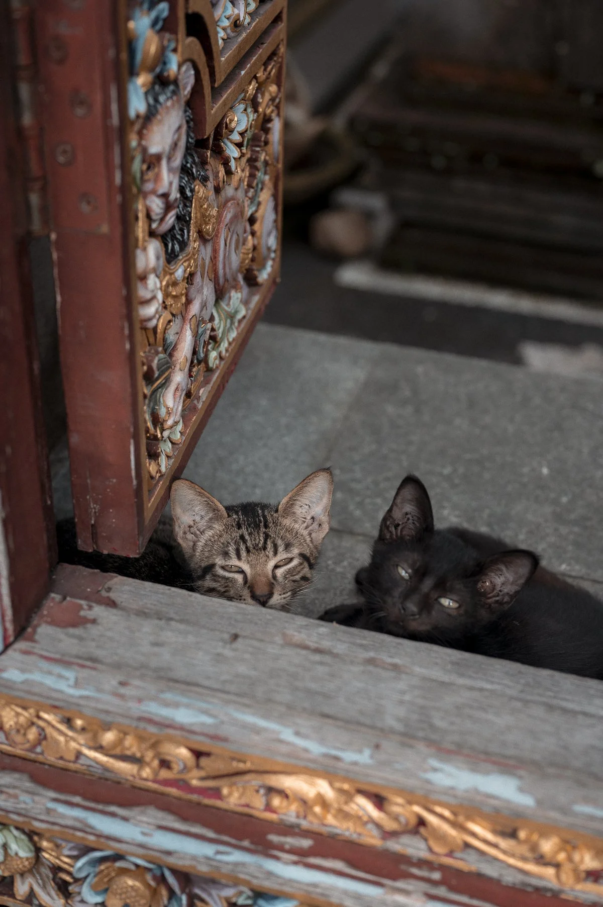 ubud-4.jpg
