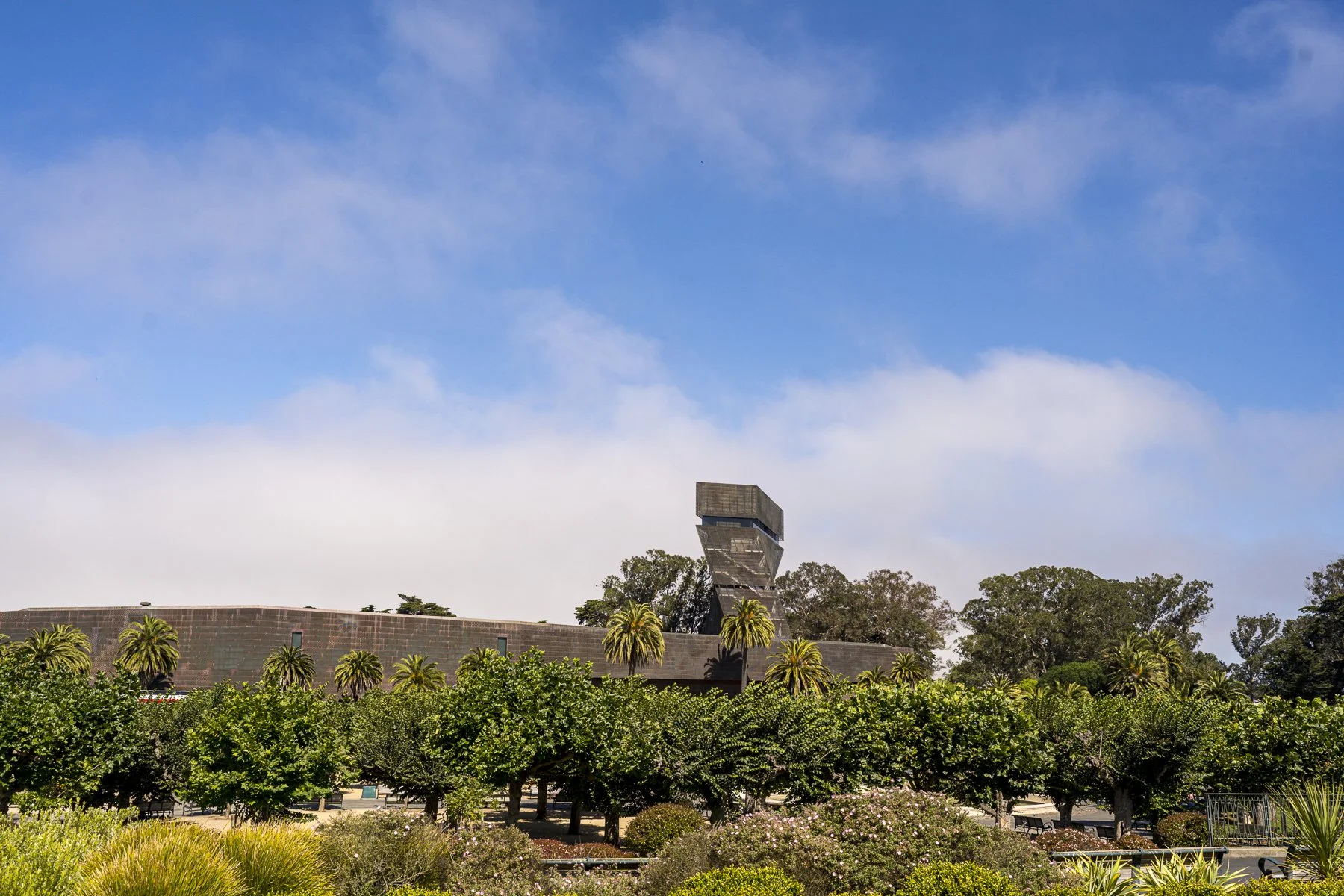 SF-28.jpg
