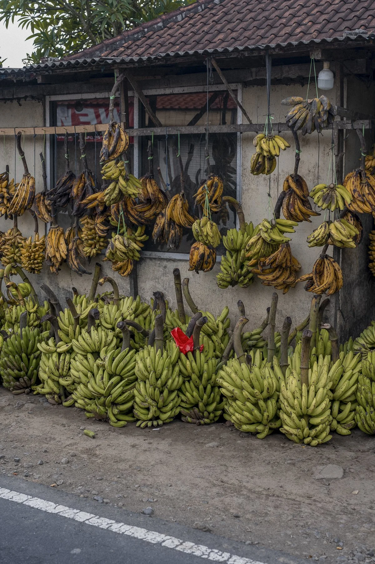 ubud-10.jpg