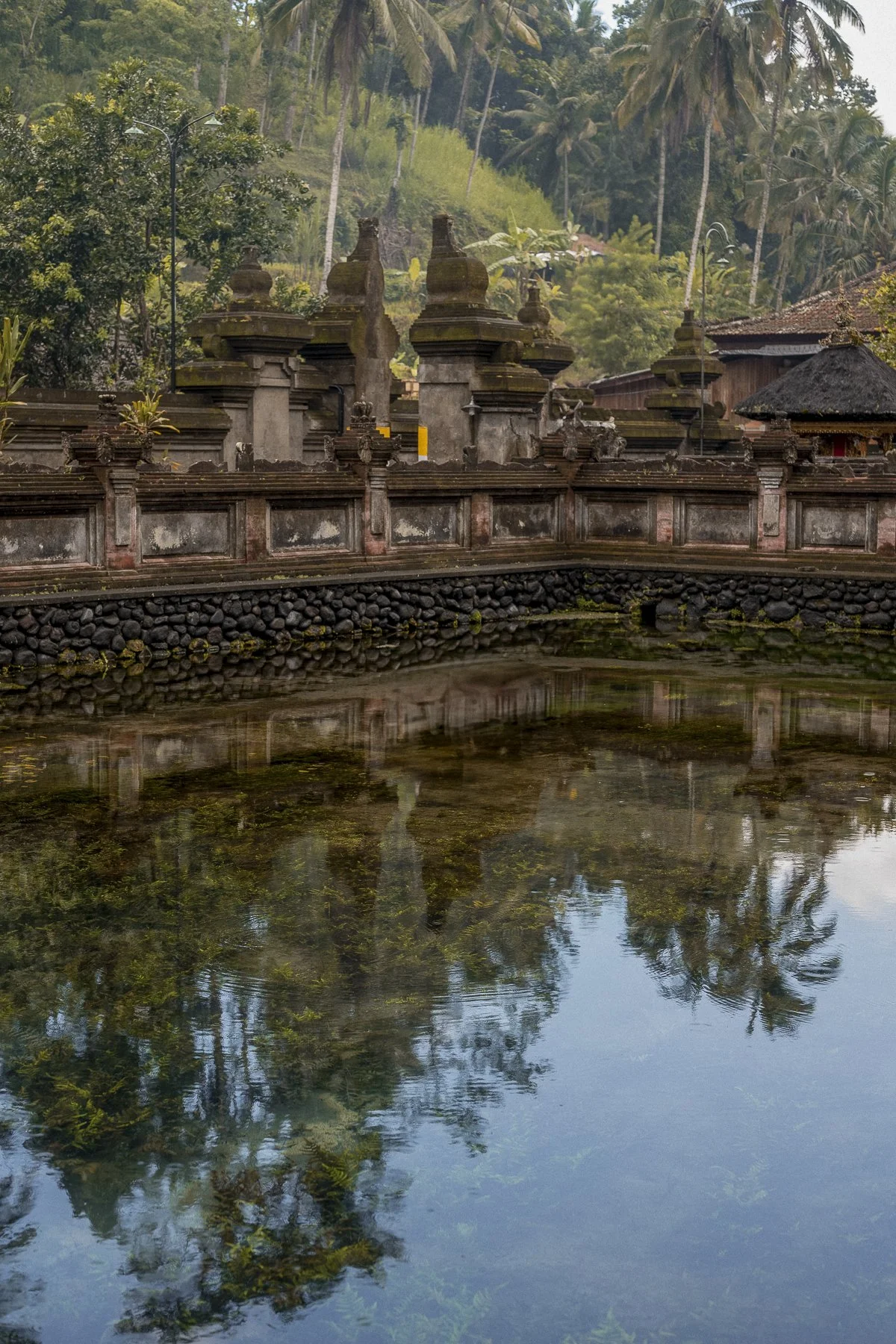 ubud-15.jpg