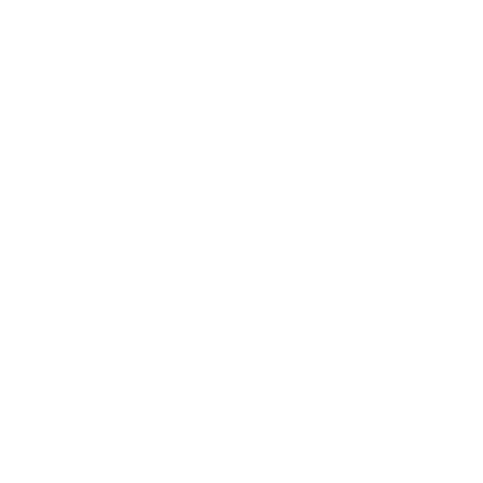 Icon of an airplane inside a circle, suggesting travel or flight.