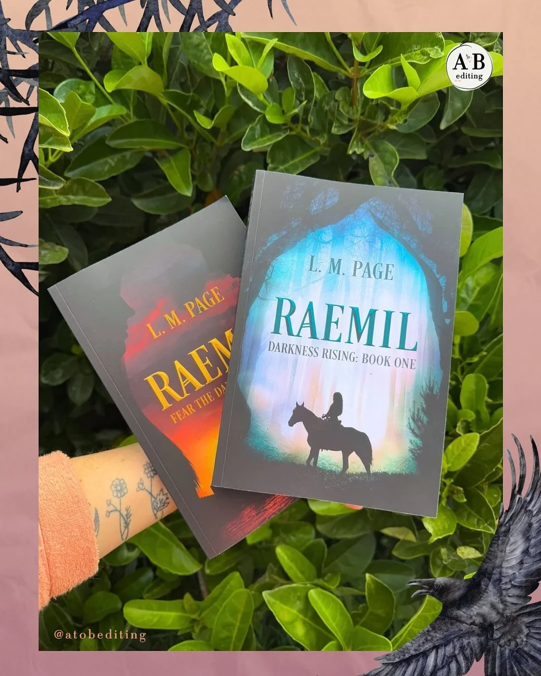 Client work ✨

My very own copies of the first two Raemil books by @loui.page have arrived! Diving back in to Raemil&rsquo;s world for the line/copy edit and format of book two was a dream. This series is dark, atmospheric and epic AND has a lovers-t
