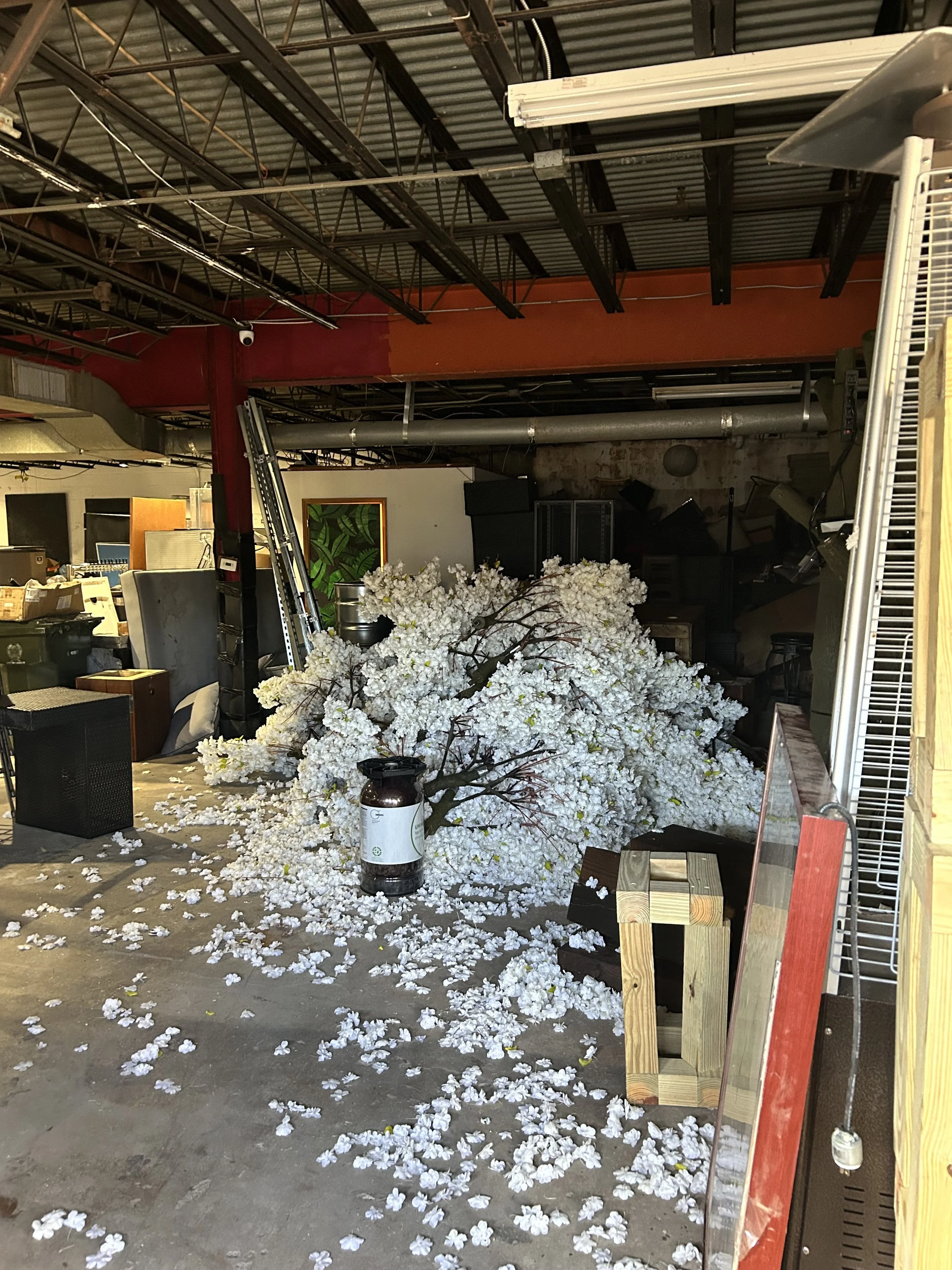 818 - Suite 5 - 3.jpeg