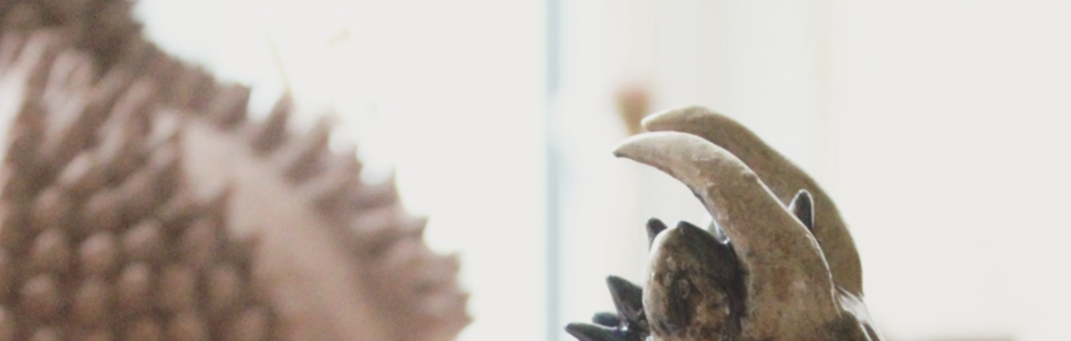 Pottery Workshop with Ida