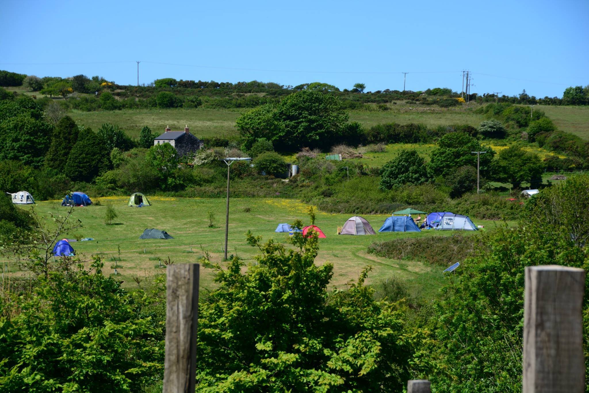 camping field.jpeg