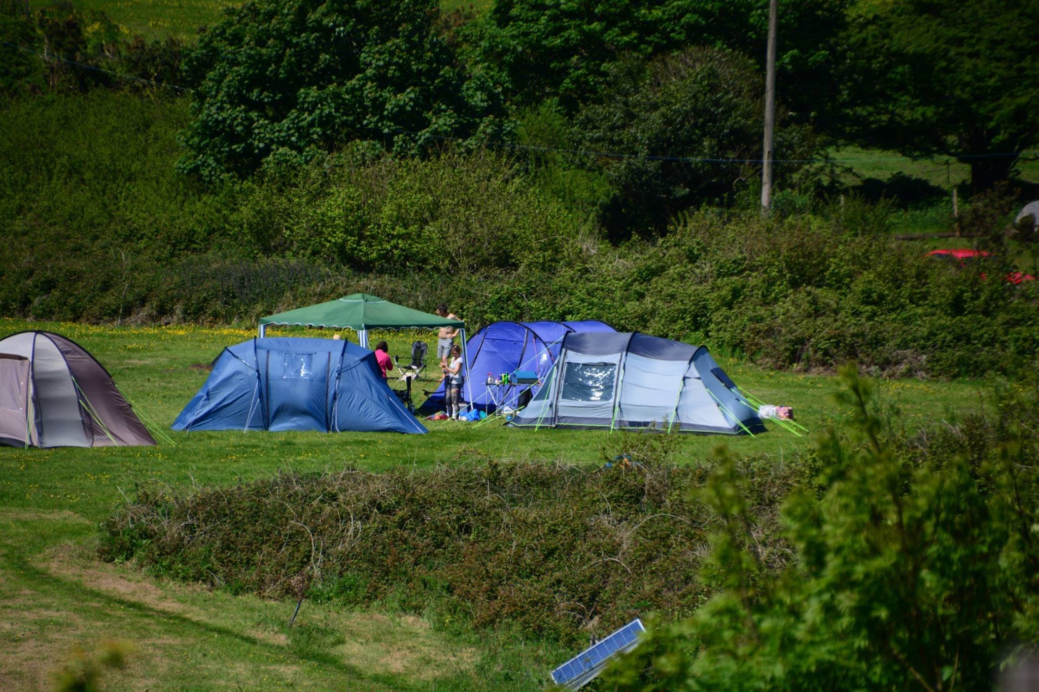 happy campers.jpeg