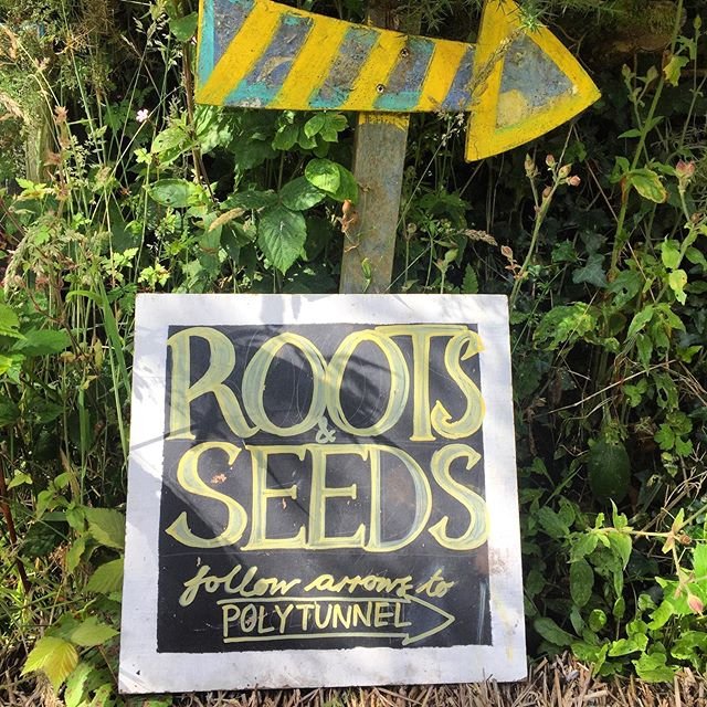Roots and seeds.jpeg