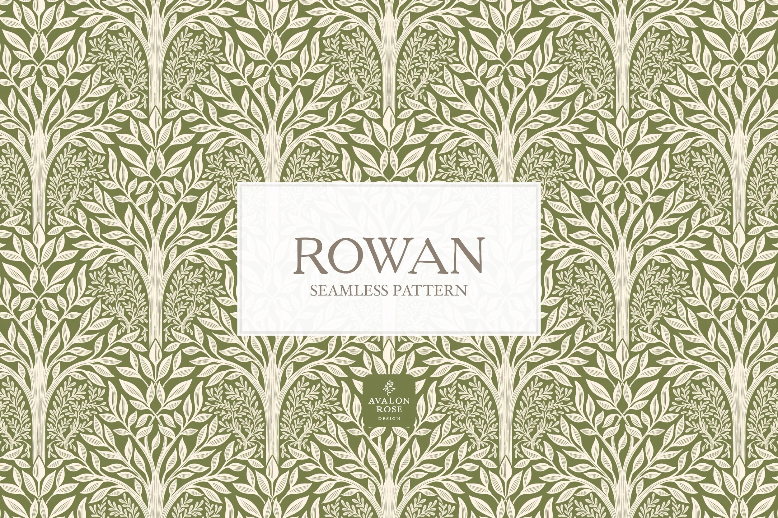 Rowan-Olive-1.jpg