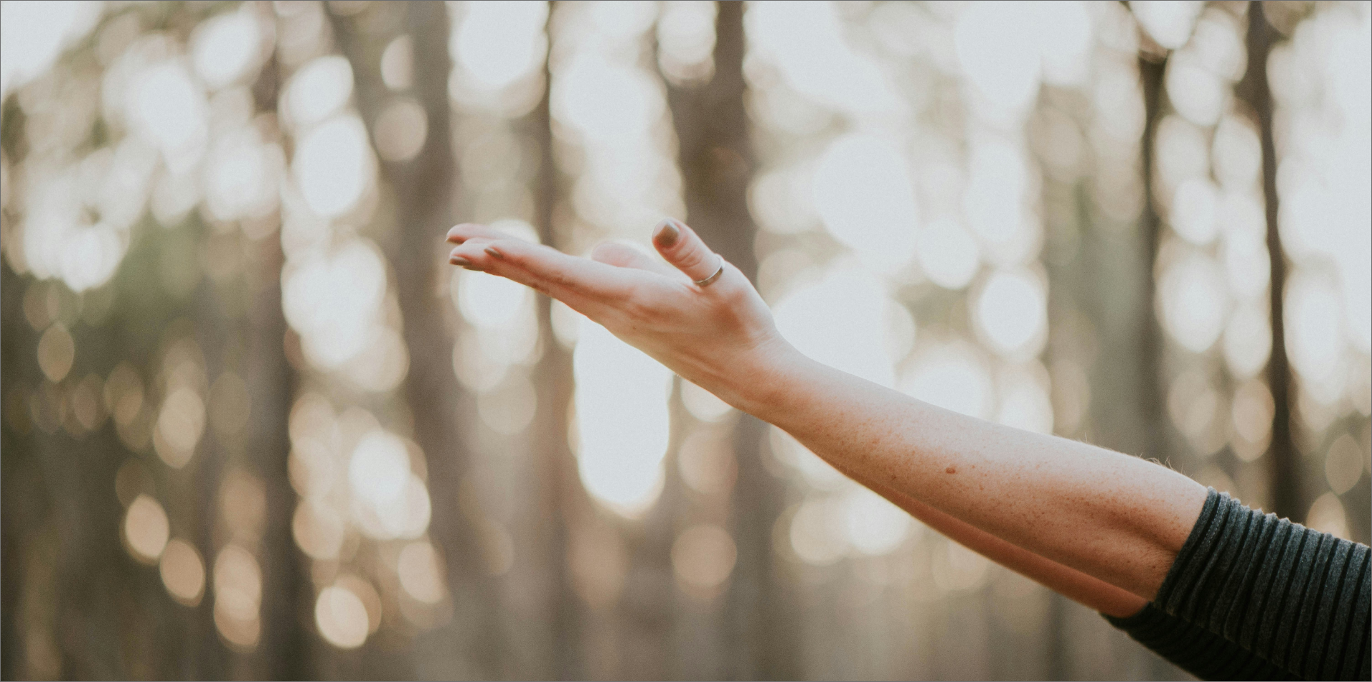 A person's arm extended outward with an open hand, in a forest setting with blurred trees and sunlight in the background.