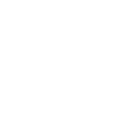 A line drawing of a human head with a spiral in the brain area, representing thinking or cognition.