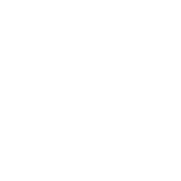 Icon of a microphone with a simplified design.