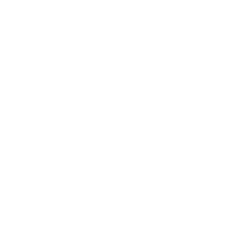 Icon of a network with interconnected nodes surrounding a refresh or synchronization symbol.