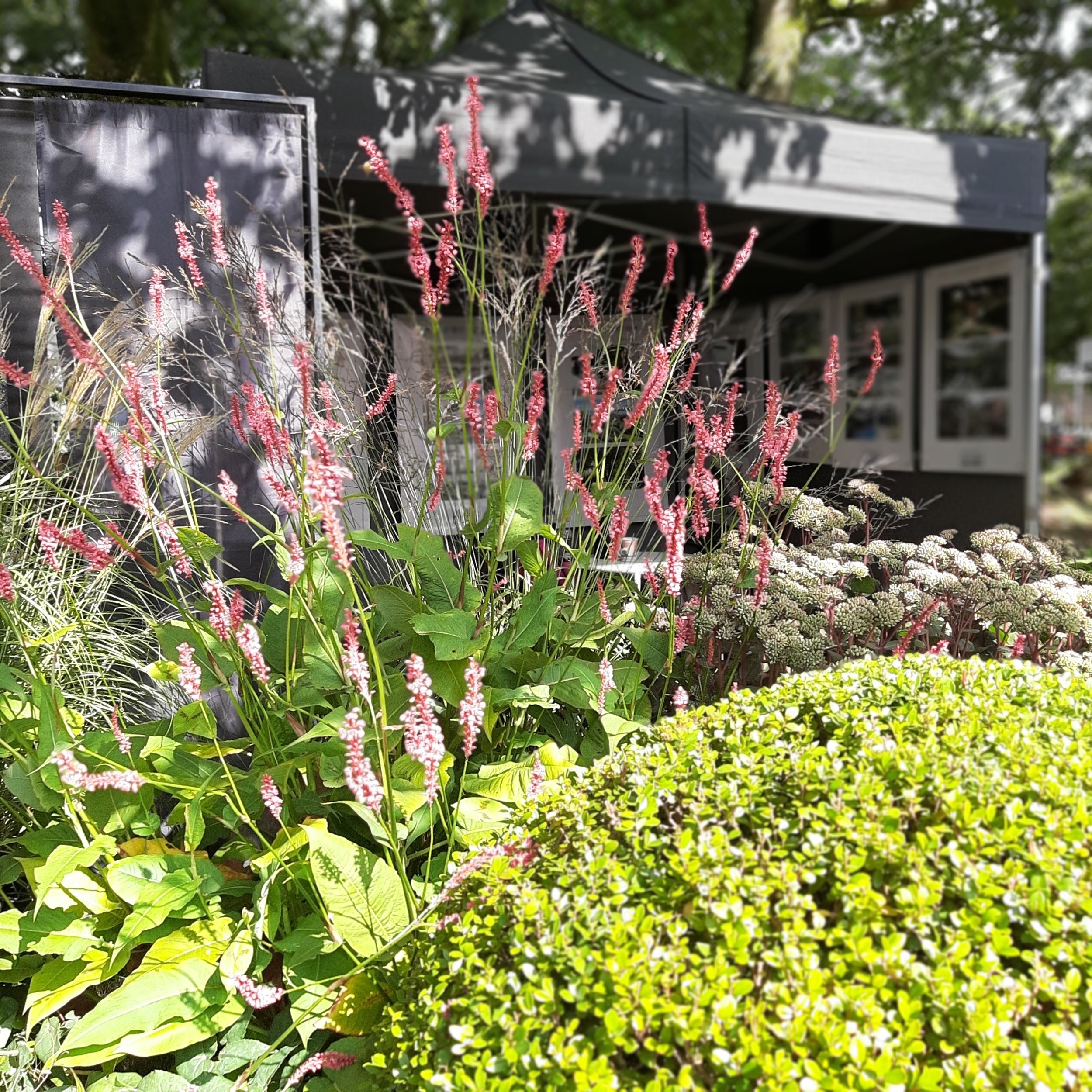 Lieux mouvants / Les journées des plantes de Saint-Antoine