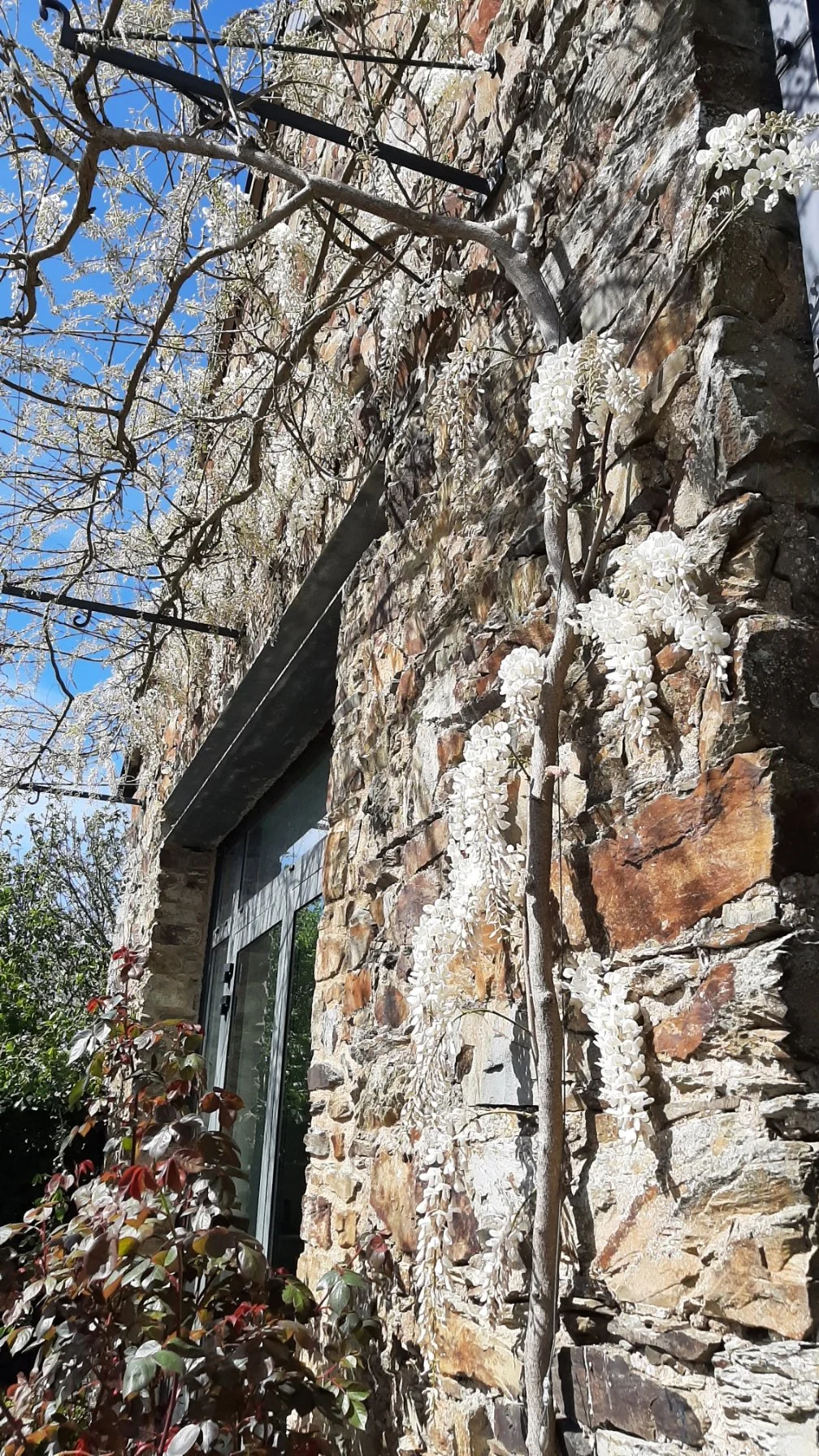 Rendez-vous aux jardins  -  Le Jardin Callarec