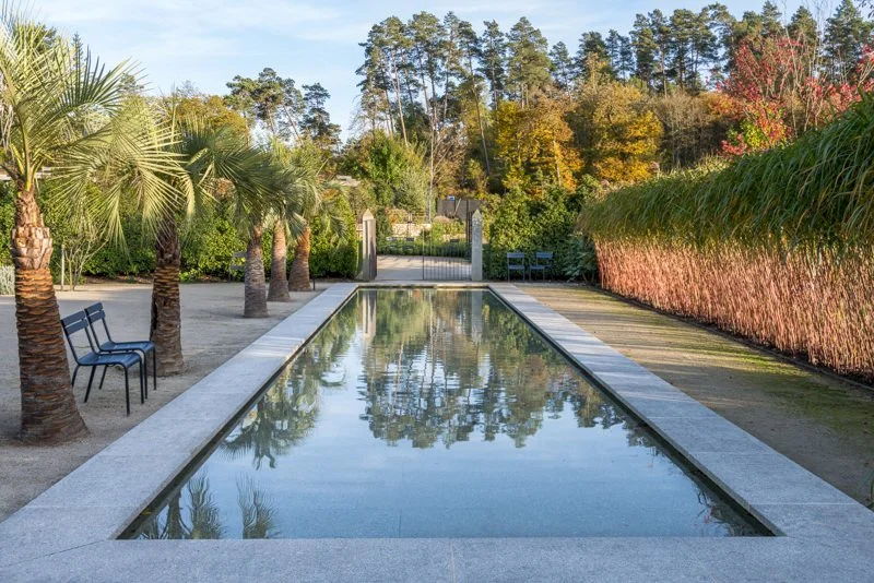 Bassin miroir d'eau, palmiers et graminées dans les Jardins Sothys en Corrèze