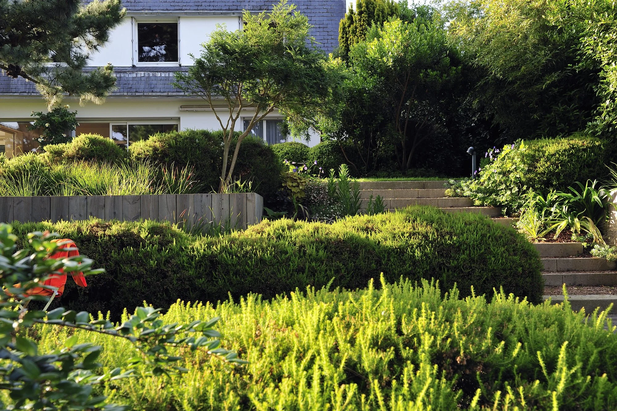 Ondulations végétales et graminées dans un jardin de bord de mer à Trébeurden dans les Côtes d'Armor