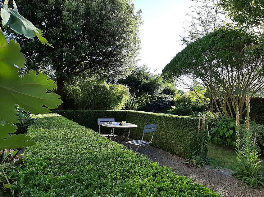 Petit jardin contemporain à Rennes en Bretagne, terrasse soulignée de lignes végétales, adoucies par des plantes vivaces, des bambous et un chêne vert qui vient masquer le voisinage.