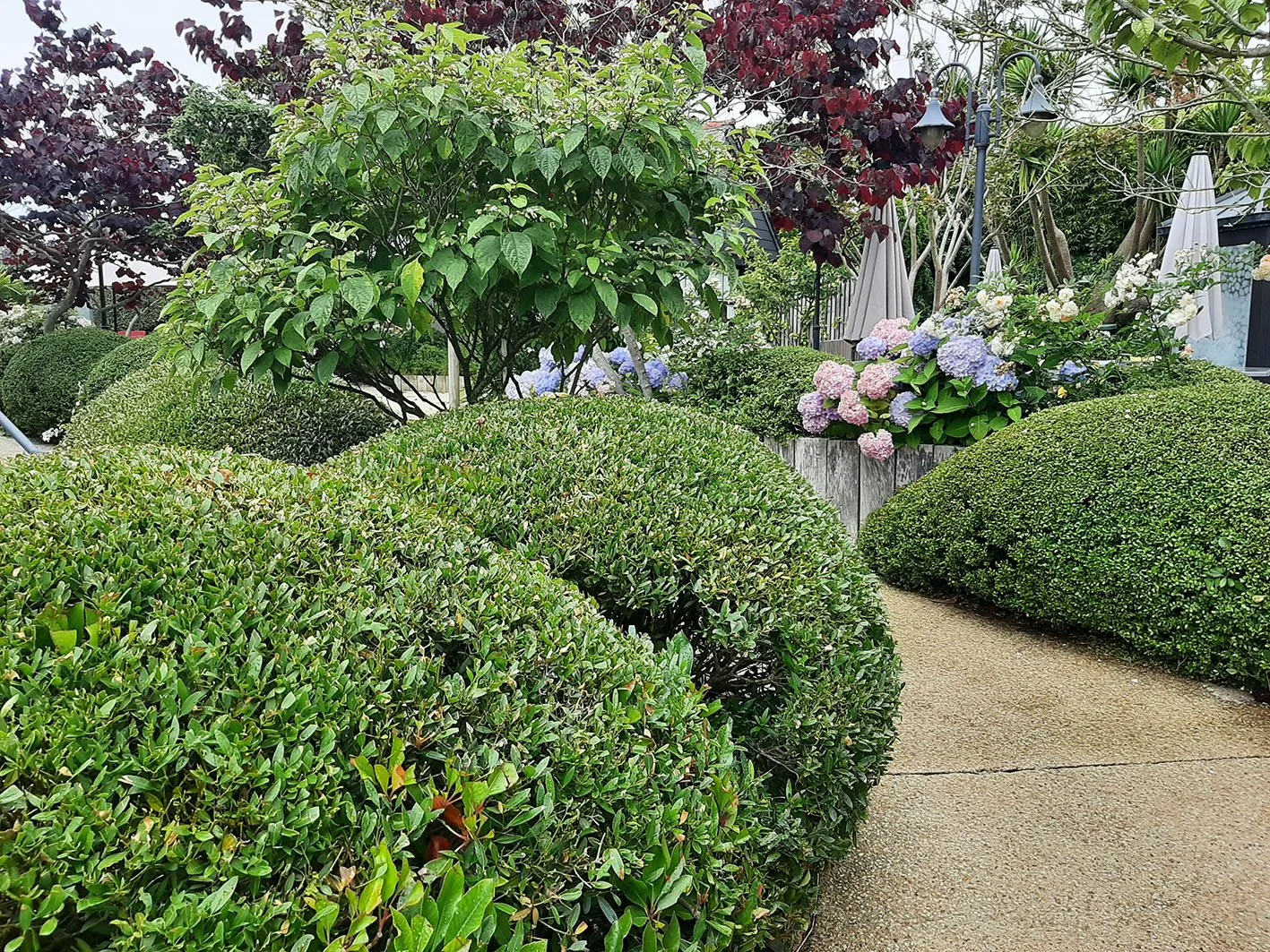 Aménagement paysager à Carantec dans le Finistère avec compositions végétales structurées, allée en béton désactivé et plantations adaptées.