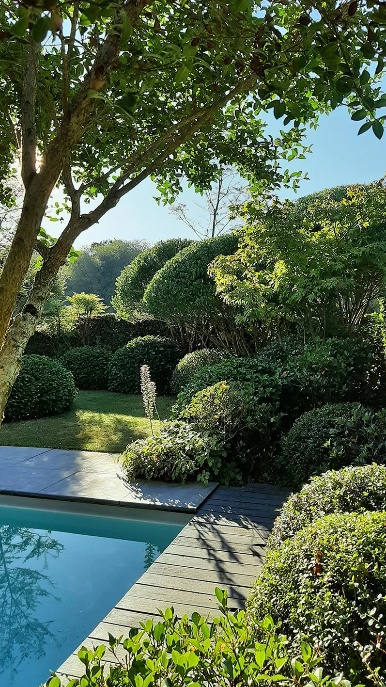 Aménagement de jardin urbain à Rennes avec terrasse, piscine, cocon végétal