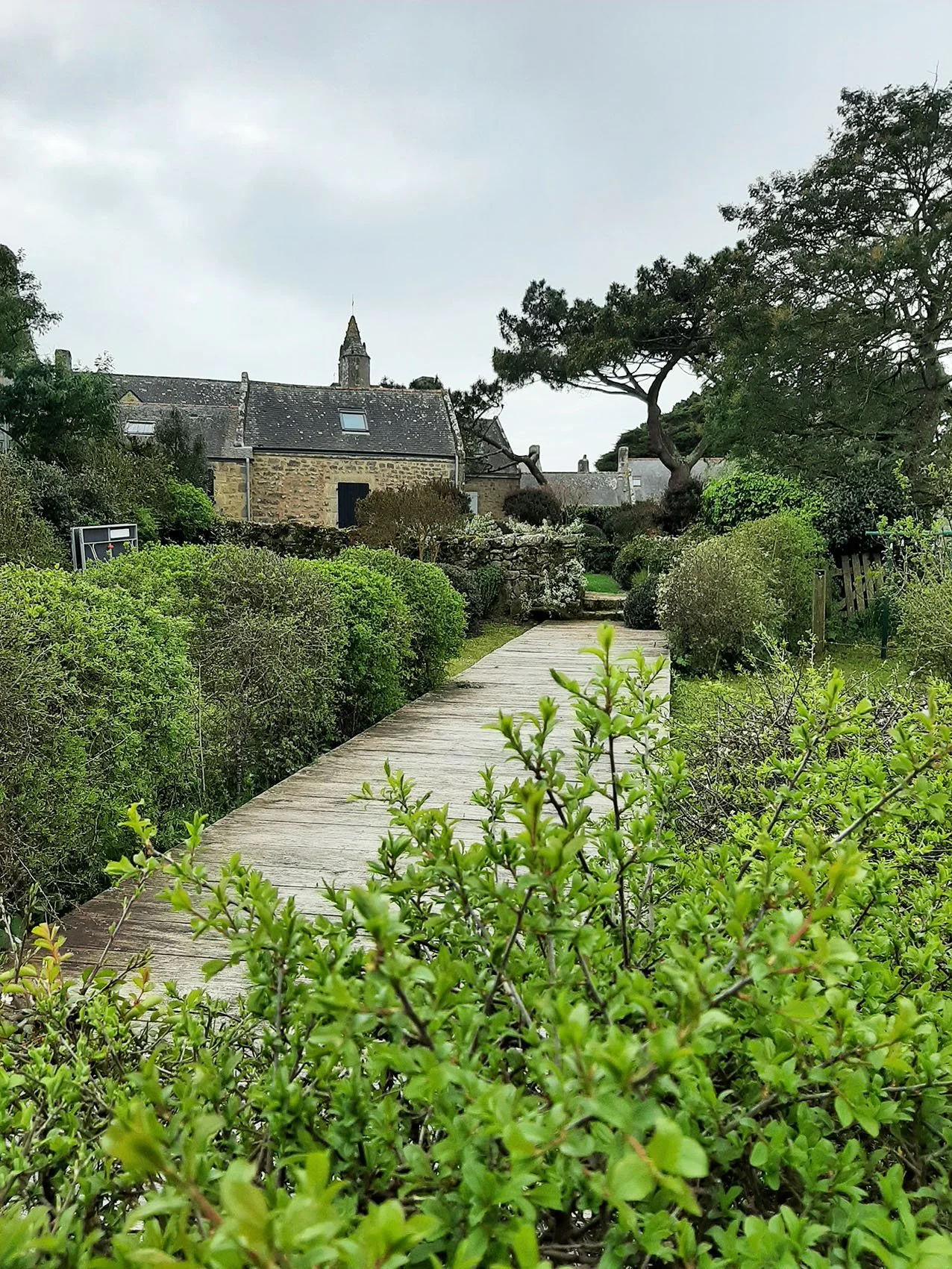 Petit jardin avec terrasse en bois et pins près de Carnac dans le Morbihan