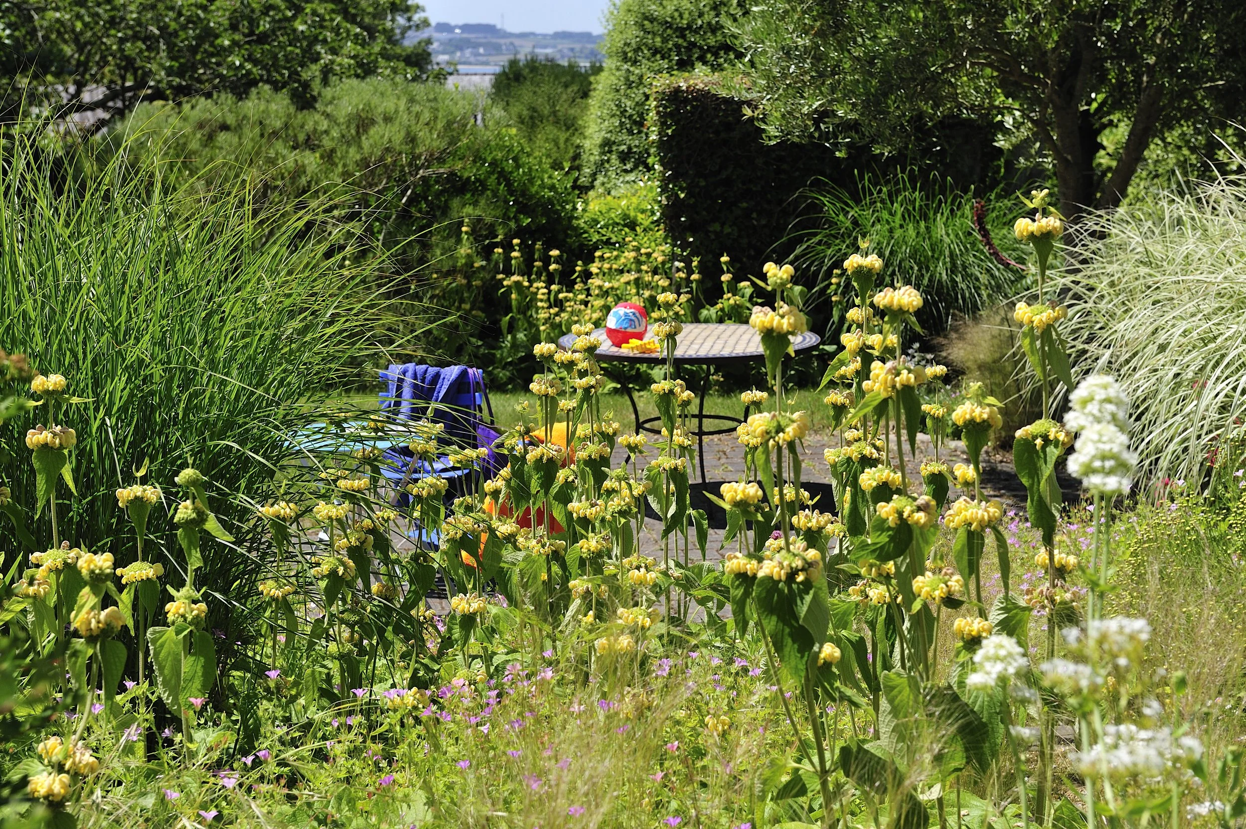 Petit jardin à Carantec avec terrasse entourée de graminées et de massifs fleuris, face au paysage littoral du Finistère.