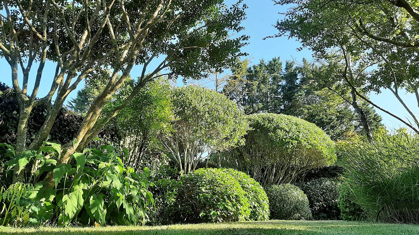 Petit jardin en ville à Rennes avec travail du végétal pour masquer les vues du voisinage