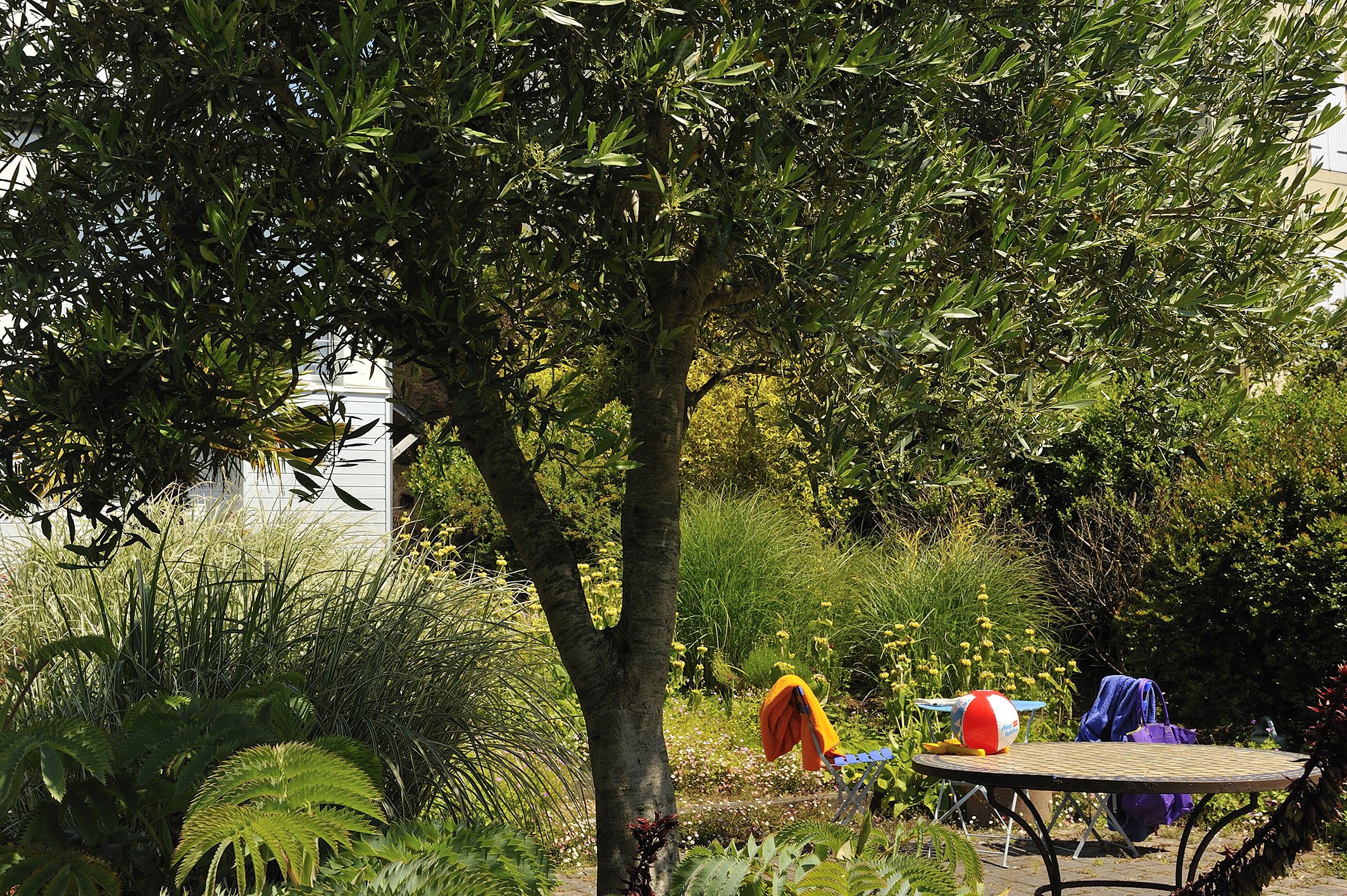 Aménagement de jardin vivant et végétalisé dans le Finistère avec espace de détente et terrasse intégrée.