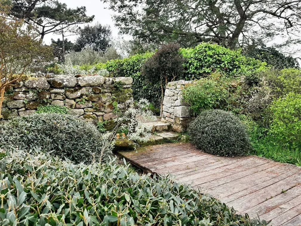 Jardin de bord de mer en Bretagne avec deck en bois, muret en pierre et végétation adaptée aux embruns