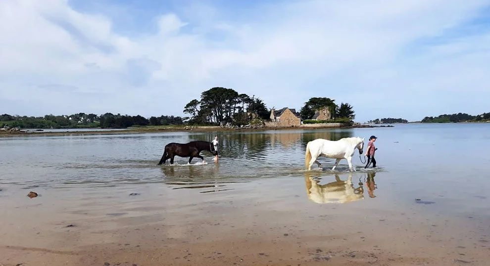 Paysage littoral breton avec vue sur l'estran et les îlots rocheux du Trégor en Bretagne