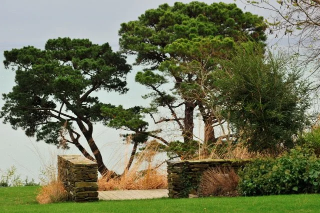 Aménagement de jardin de bord de mer à Cancale avec travail de la vue sur mer et associations végétales