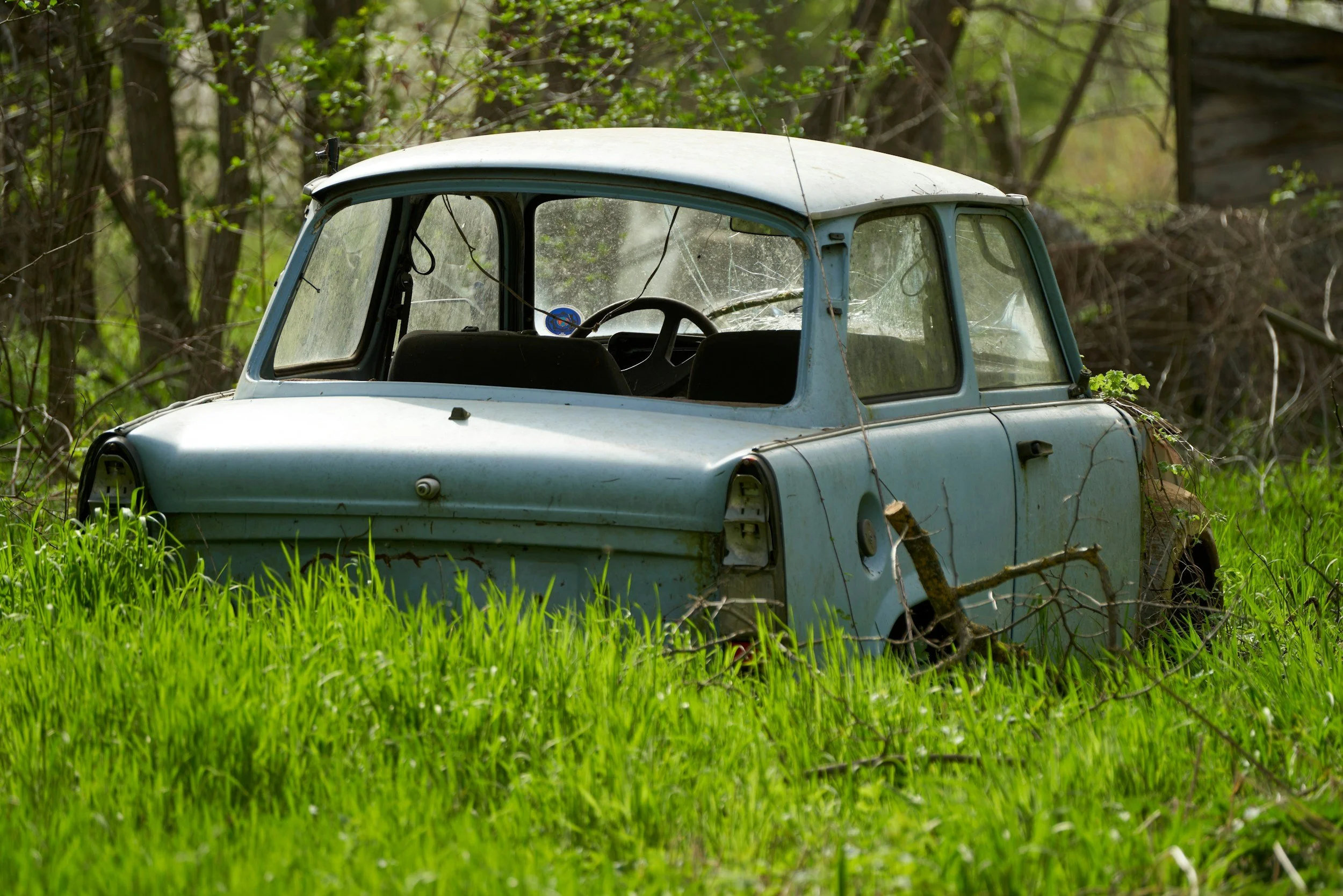 La voiture immobile dans l’allée…
