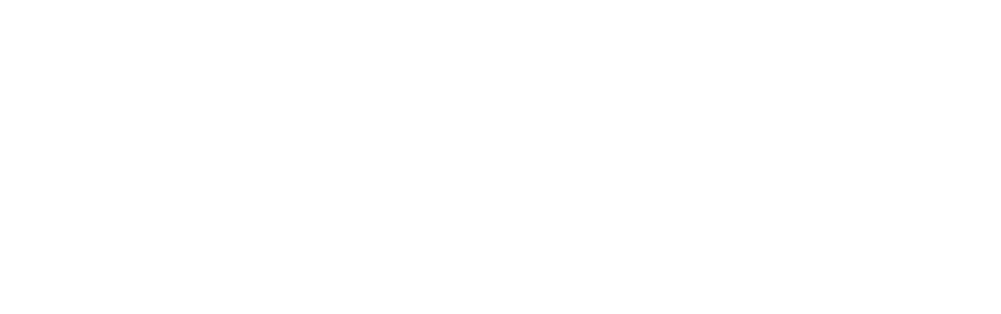 Scan Solutions