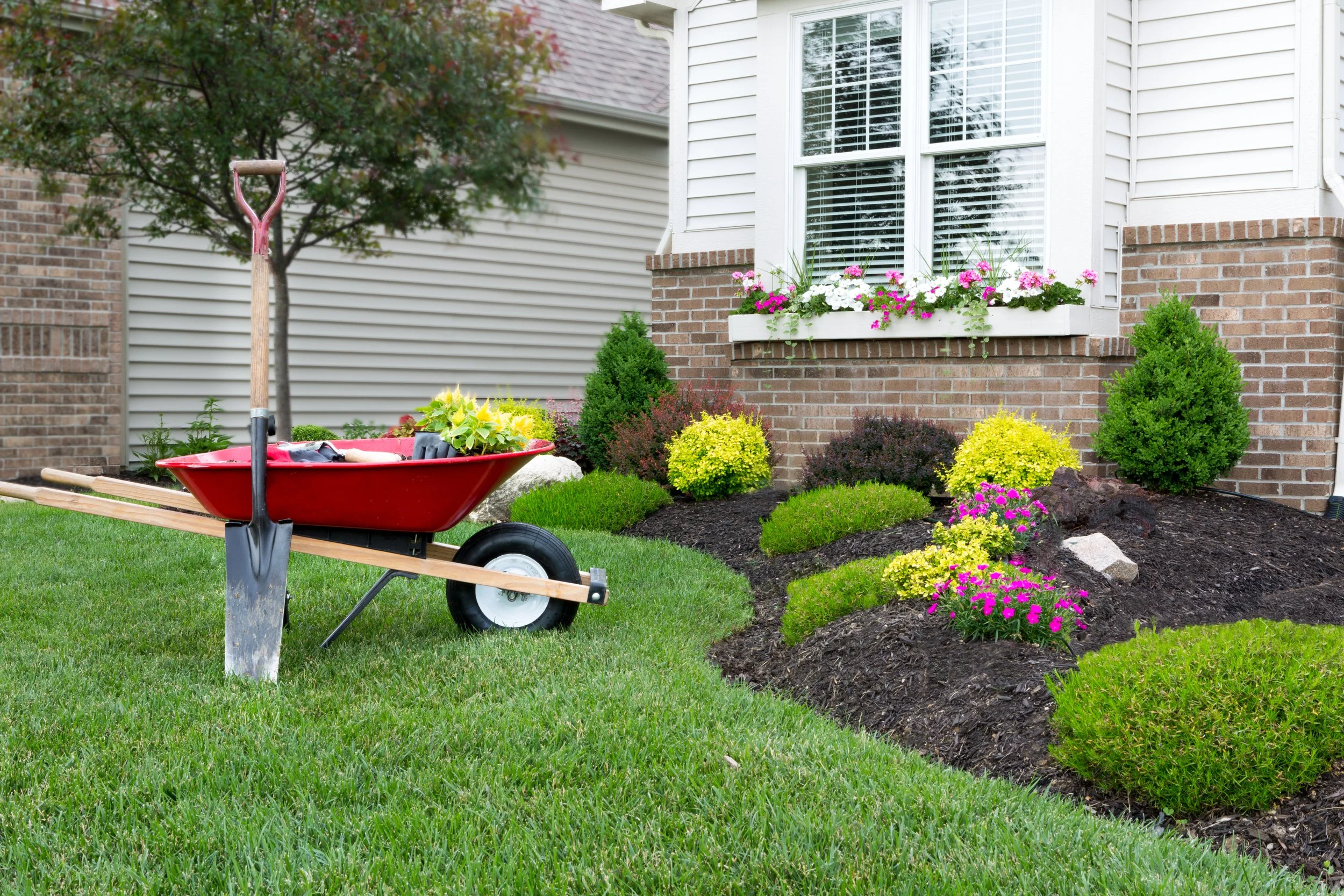wheelbarrow and shovel for for mulch in flowerbeds