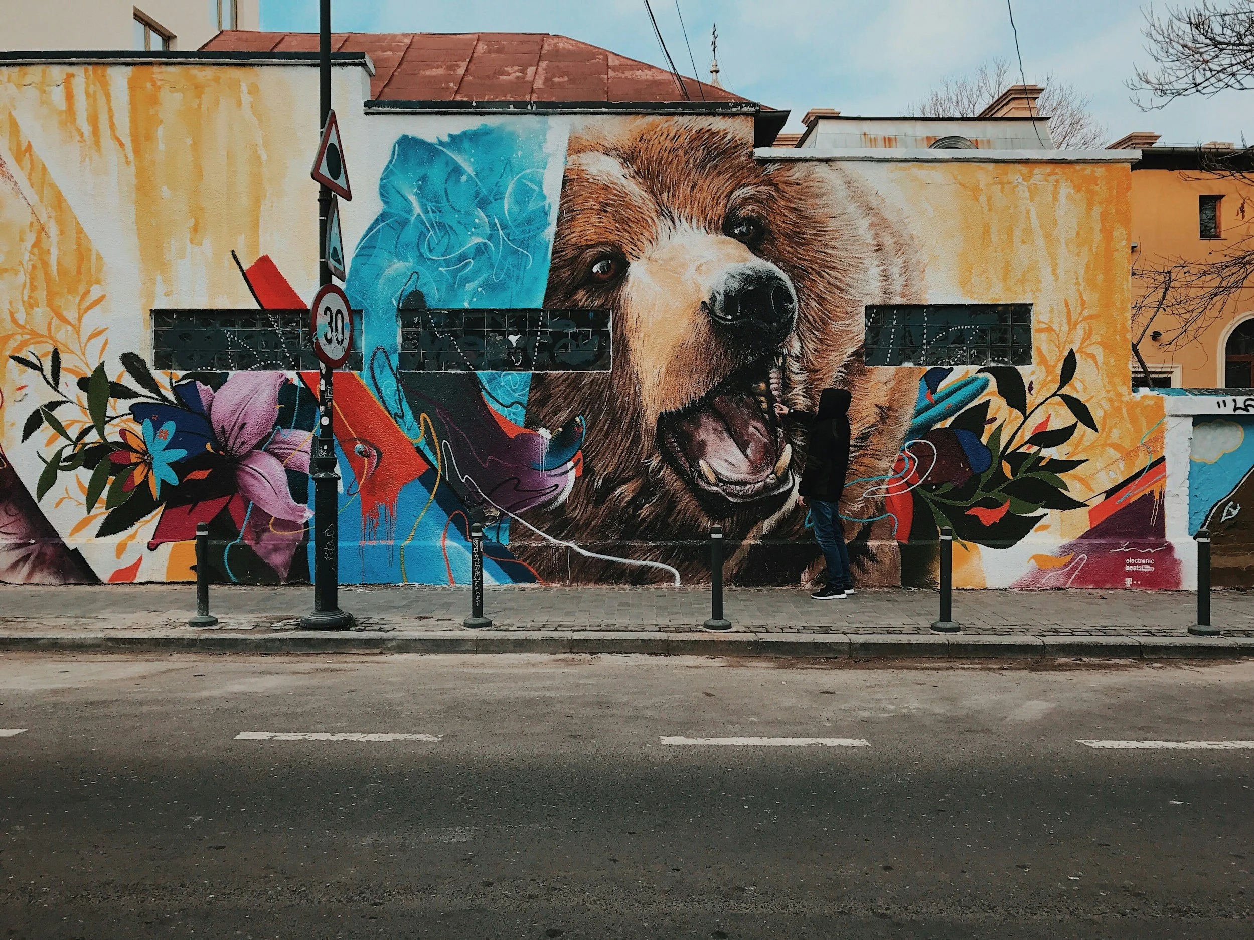 Fat Bear Week and the Myth of the Lone High Performer