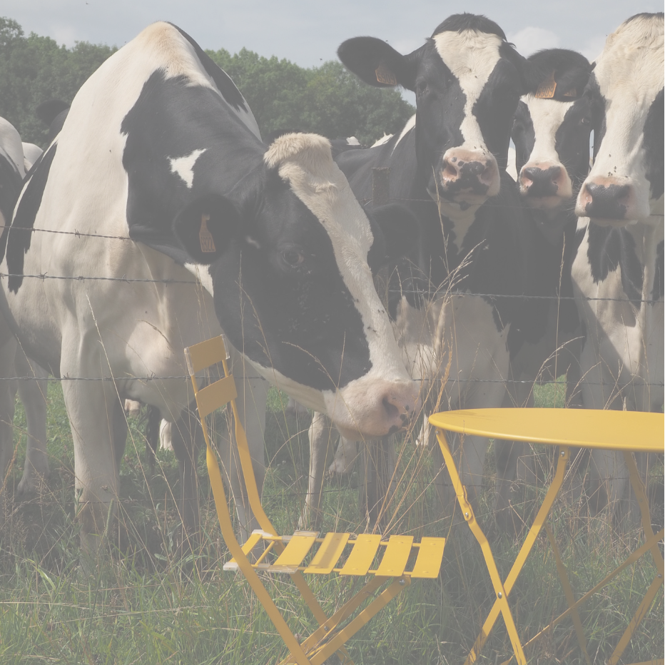 Community Table voor Slow Food Nederland @ Boerderij de Eenzaamheid