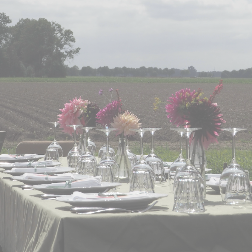 Dahliadiner @ privé moestuin