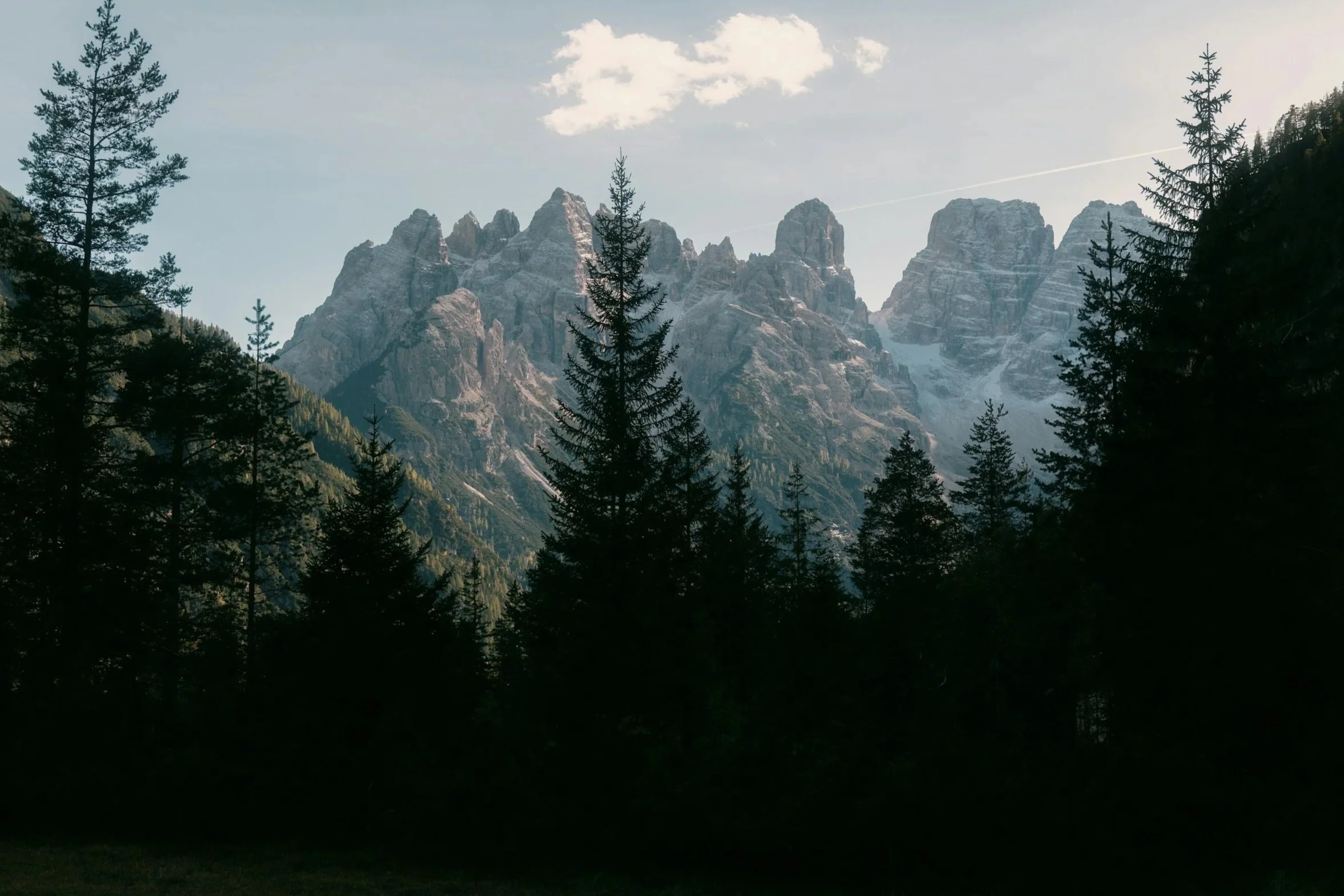 Marriage Counseling Near Me