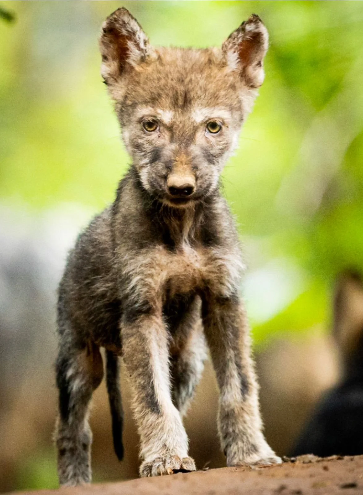 WhatsApp Image 2024-10-10 at 08.38.04 (4).jpeg