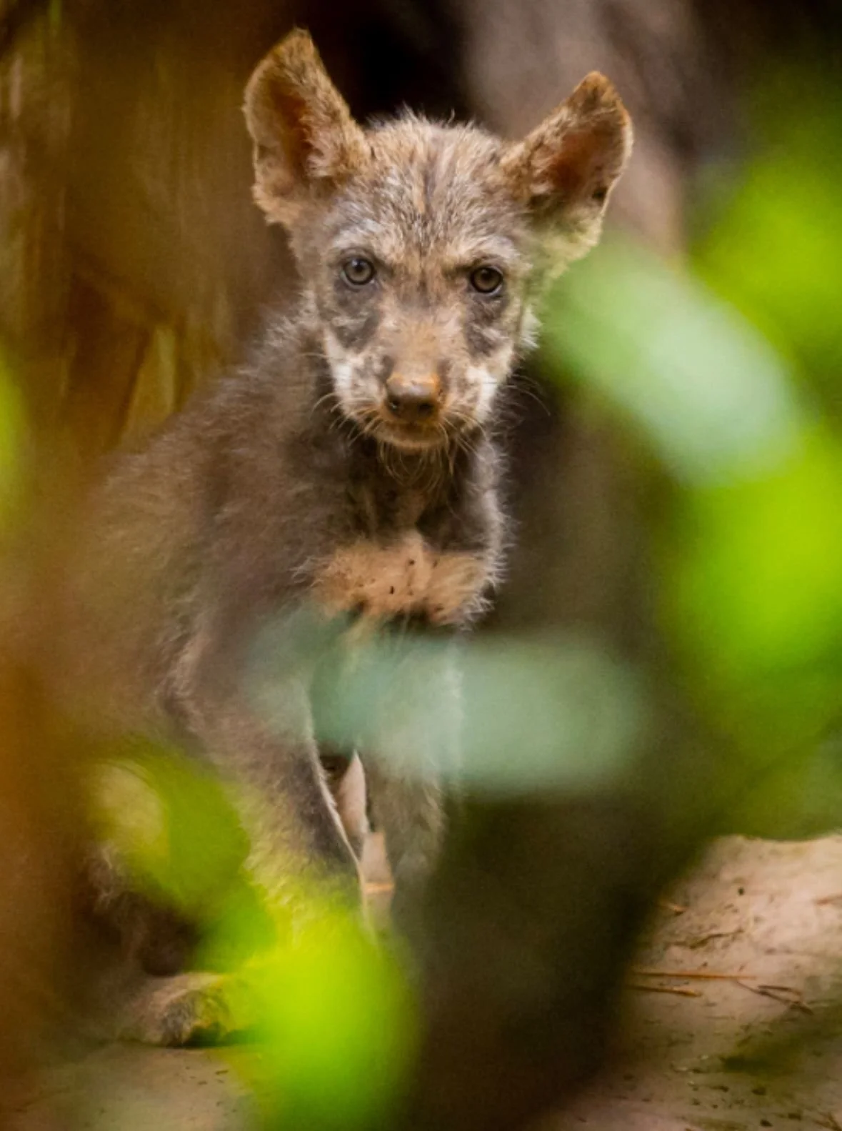 WhatsApp Image 2024-10-10 at 08.38.03.jpeg