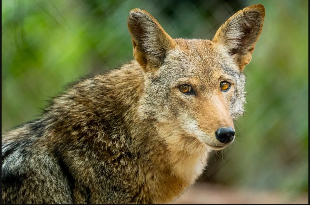 WhatsApp Image 2024-10-10 at 08.38.04 (6).jpeg