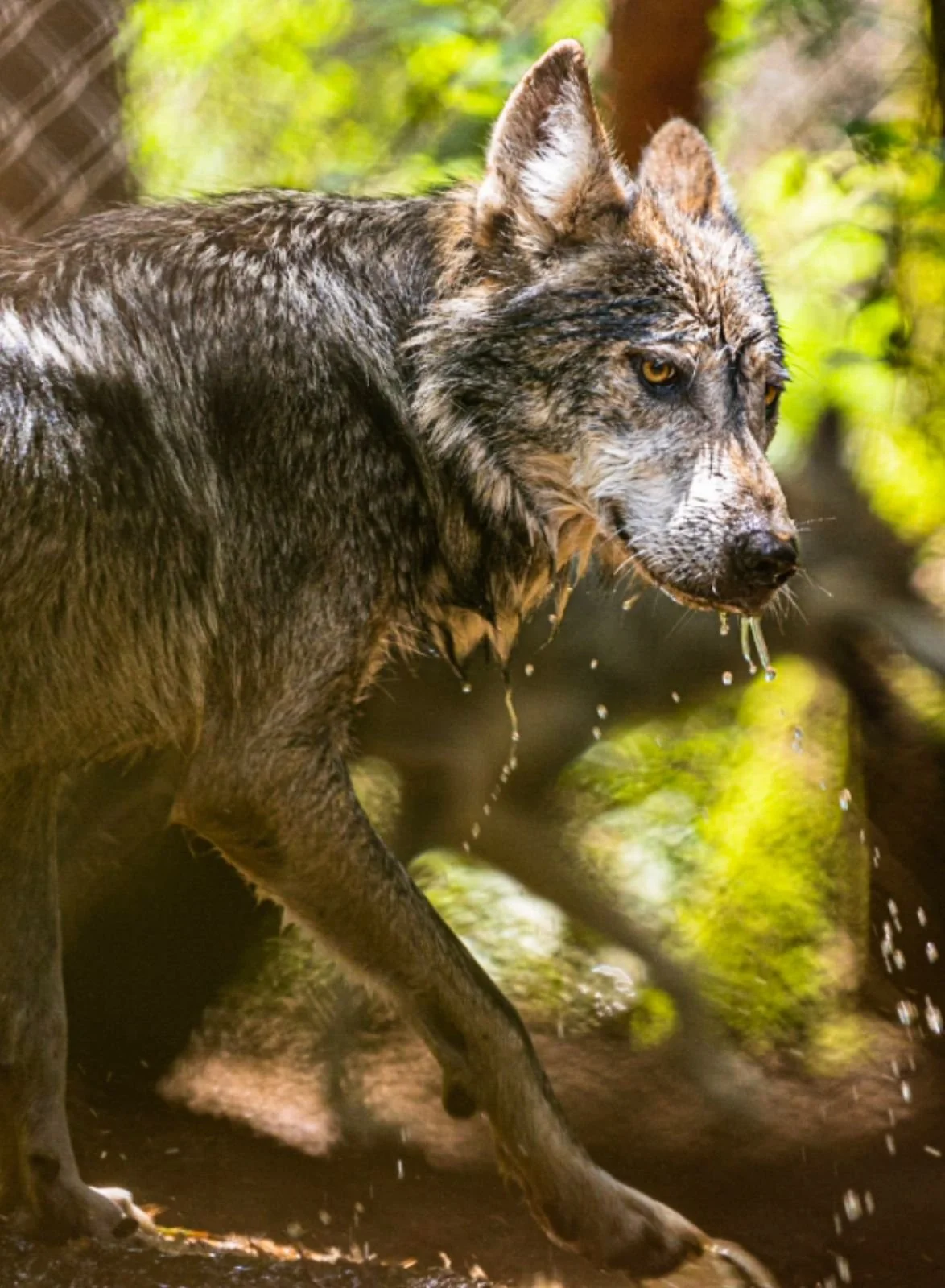 WhatsApp Image 2024-10-10 at 08.38.04 (1).jpeg