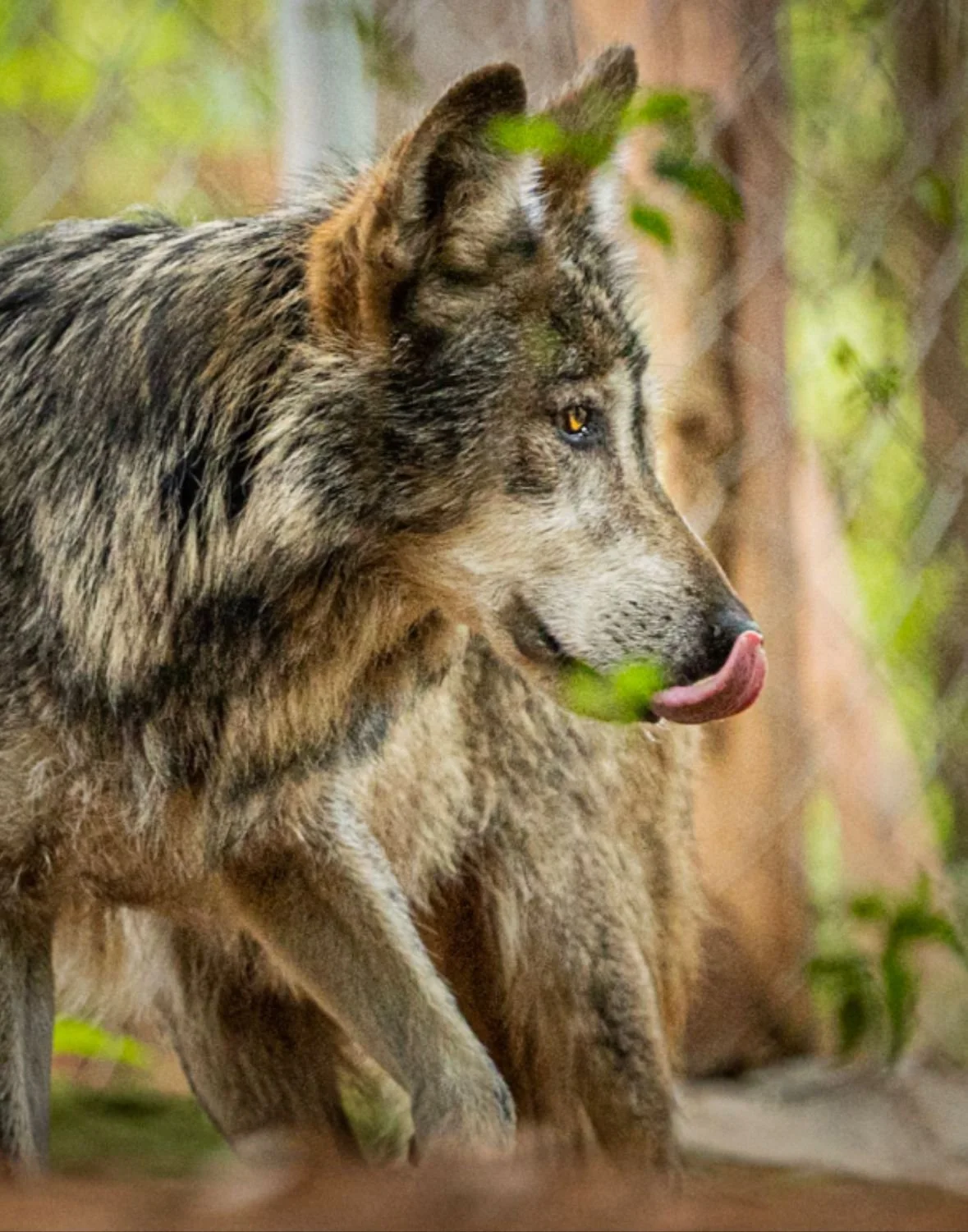 WhatsApp Image 2024-10-10 at 08.38.04 (3).jpeg