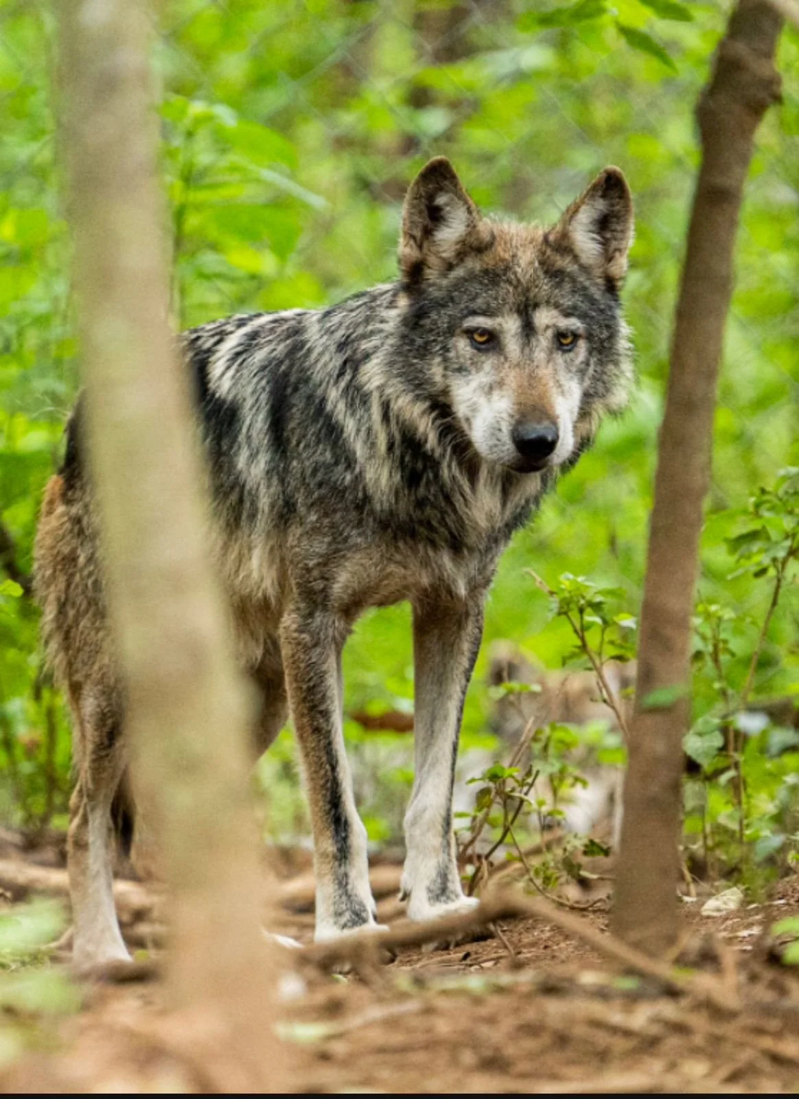 WhatsApp Image 2024-10-10 at 08.38.04 (2).jpeg