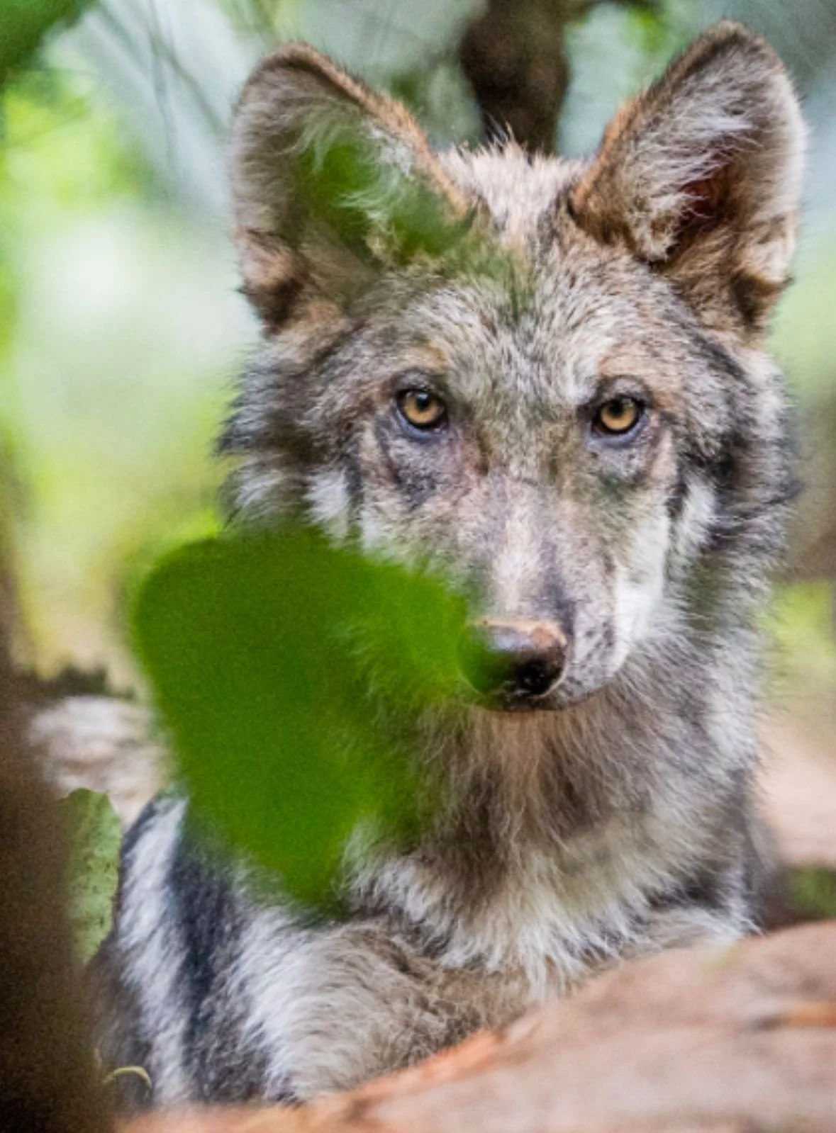 WhatsApp Image 2024-10-10 at 08.38.03 (1).jpeg