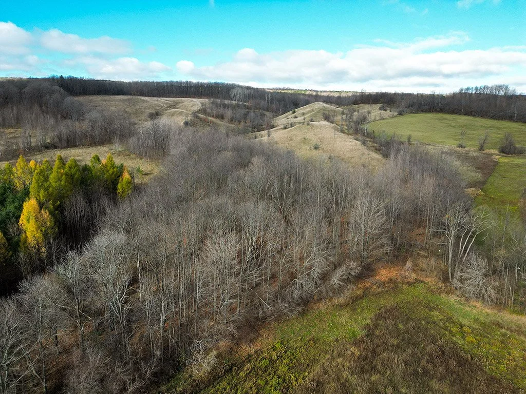 686487-Side-Road-19-MLS-and-Web-011.jpg